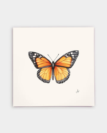 Monarch Butterfly Art Print