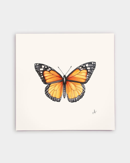 Monarch Butterfly Art Print