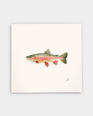 Rainbow Trout Art Print