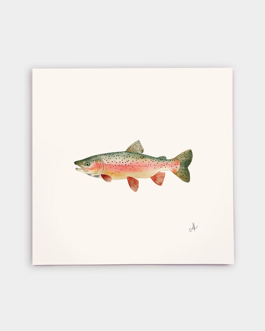 Rainbow Trout Art Print