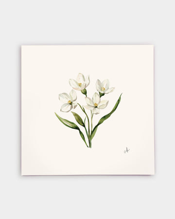 Massachusetts Mayflower Art Print