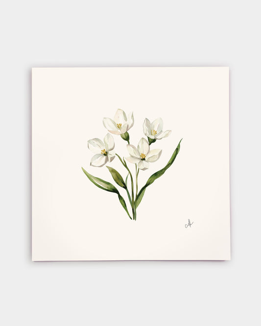 Massachusetts Mayflower Art Print