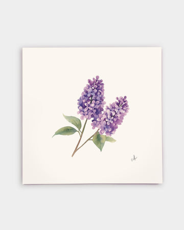 New Hampshire Purple Lilac Art Print