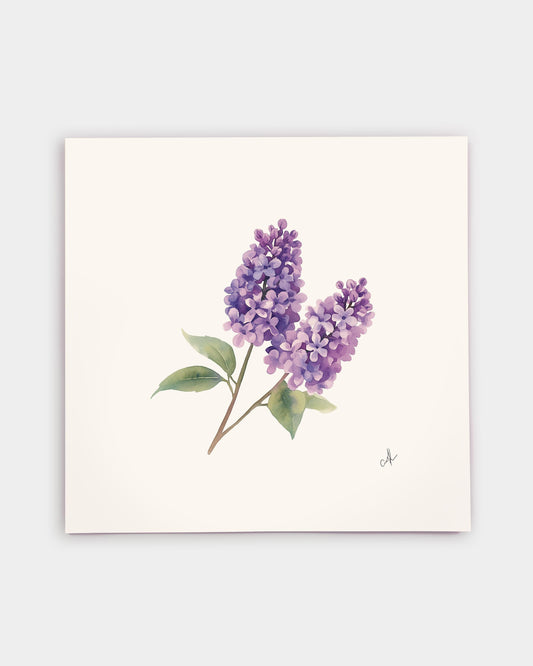 New Hampshire Purple Lilac Art Print
