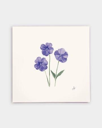 Rhode Island Blue Violet Art Print