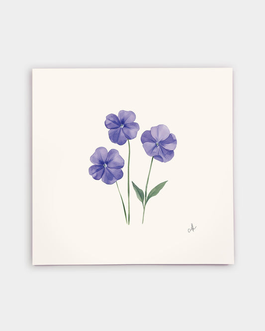 Rhode Island Blue Violet Art Print