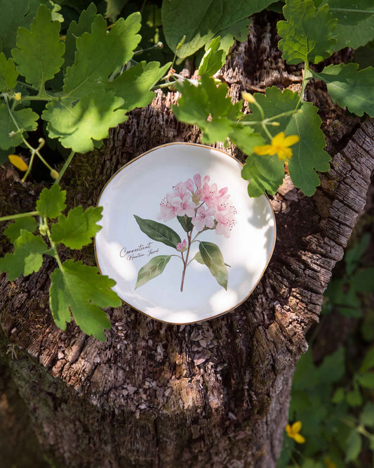 Connecticut Ring Dish