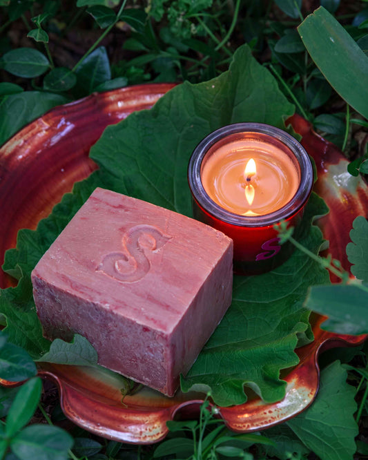 Mini Rose Garden Set