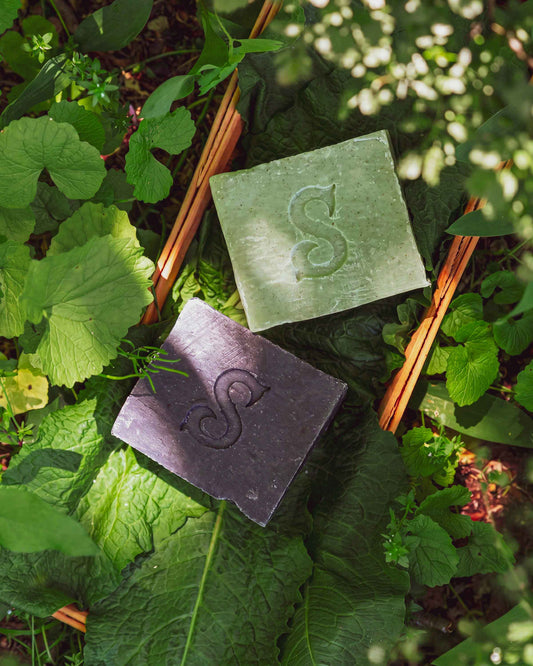 Soap Bar Duo