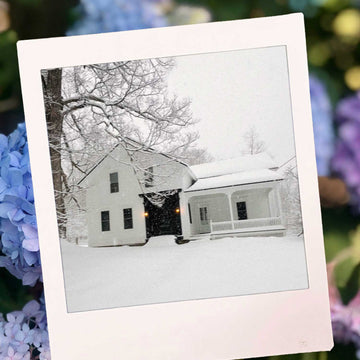 Saltbox & Company
