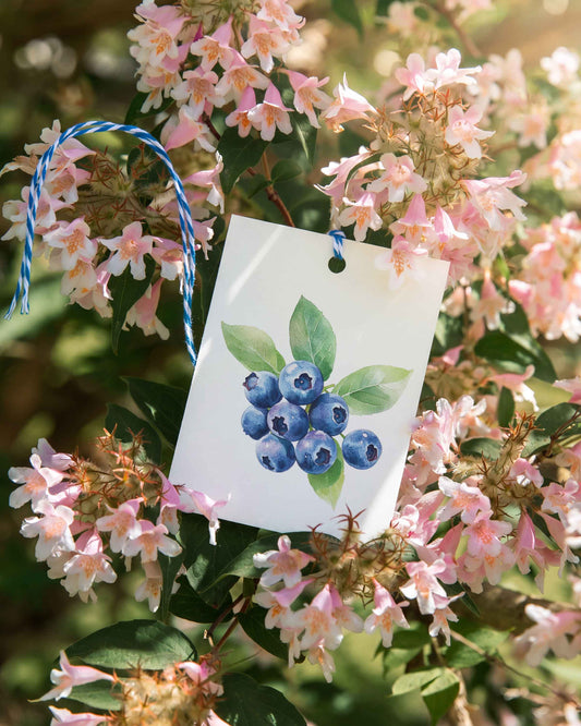 Blueberries Gift Tags