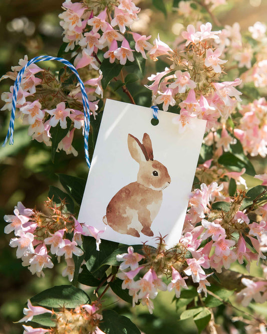 Carmello the Bunny Gift Tags