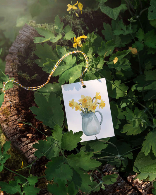 Daffodil Jug Gift Tags