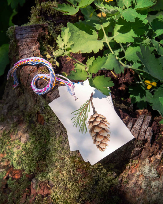 White Pine Cone Gift Tags